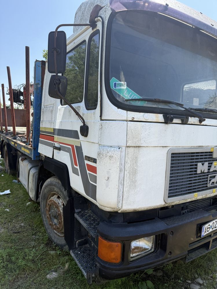 Man camion macara