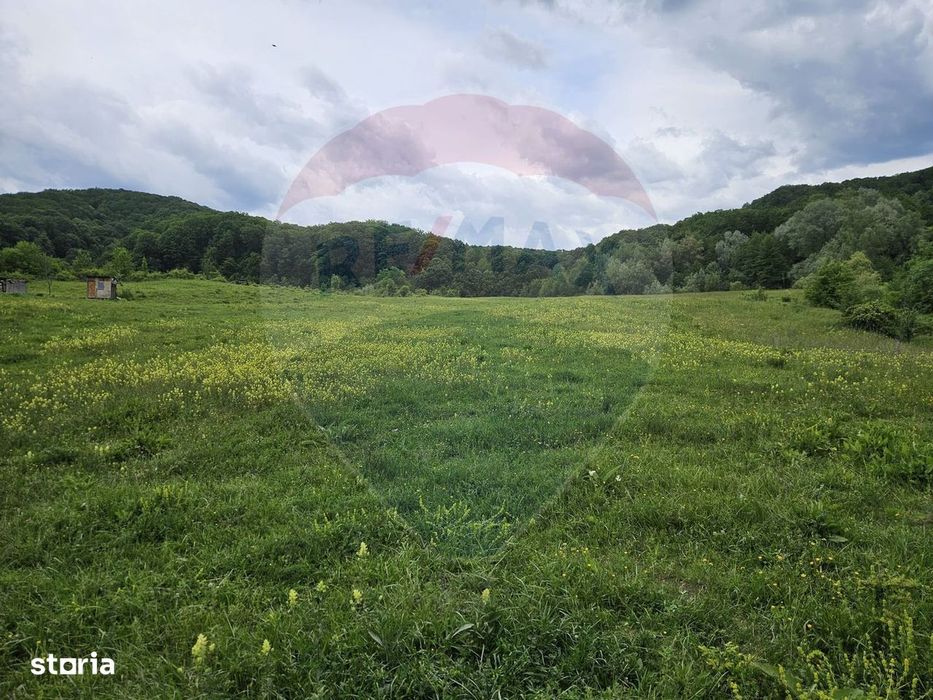 Teren 11,935mp Margineni / Strada Dubas