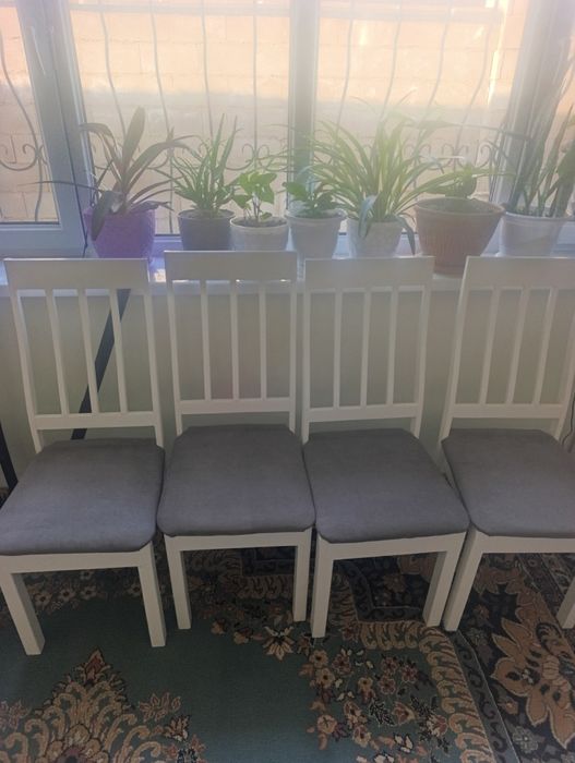 Продам стулья новые