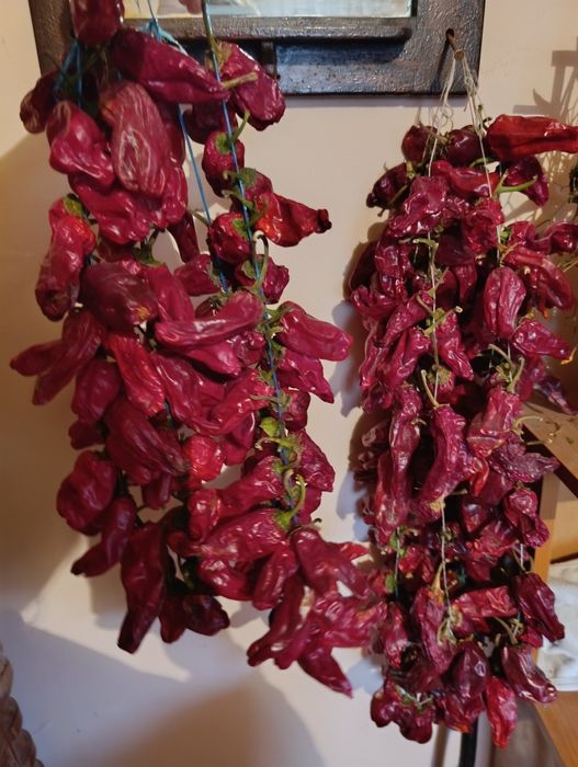 Ardei de raci uscati