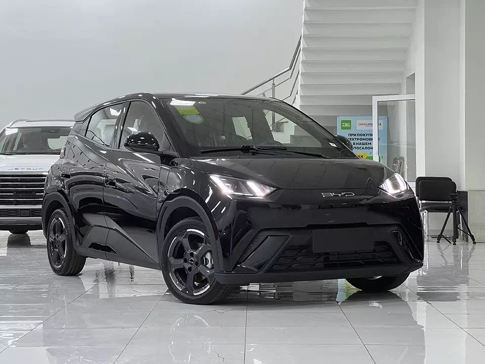 Byd Seаgull Бйд Сигл