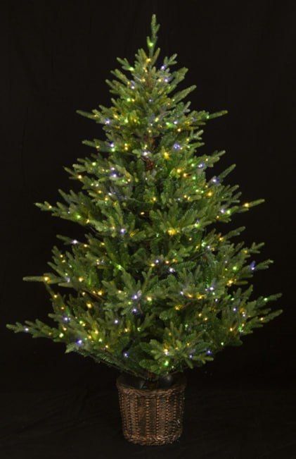 Новогодние ёлки новый Ёлка Yolka