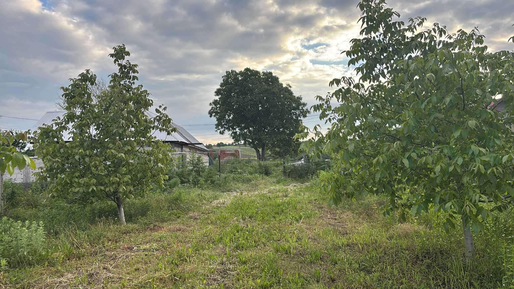 Teren de vânzare pentru casă / 2000 mp / Ocazie unică