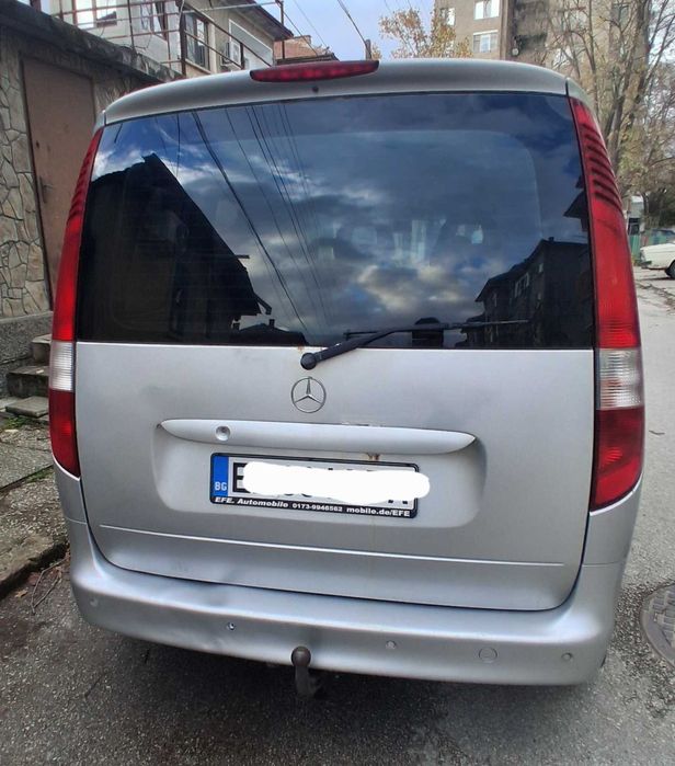 Мерцедес Ванео ван