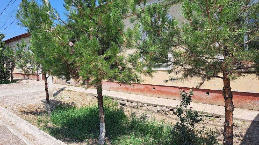 6 сотихли коттедж сотилади, Манзил калелин поворот, иссик нон атрофида