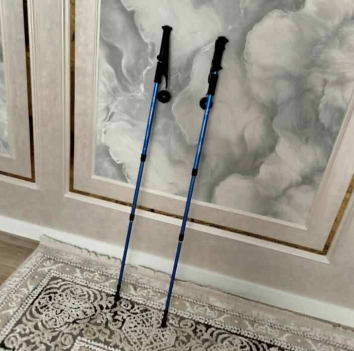 Палки для ходьбы/треккинга