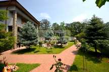 Chiajna - Rosu Str Padurii - Vila Unica 1000mp, Suprafata Utila 223 Mp