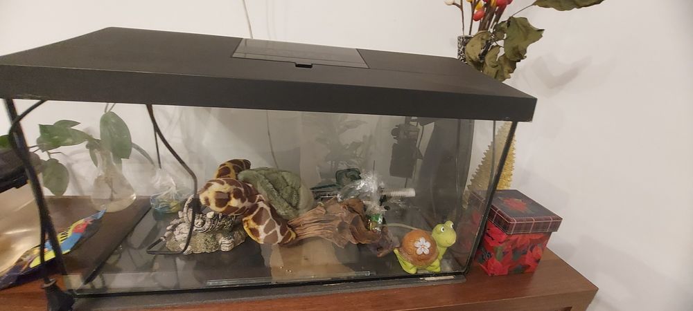 Acvariu din sticla Aquael Set Leddy 60 Black Day&Night 60x30x30cm