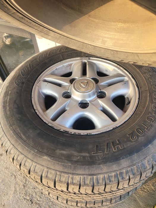 Диск с ризиной...