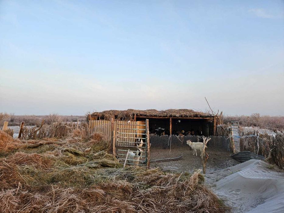 Фазенда сатылады