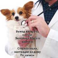 Ветеринарный врач на выезд на дом