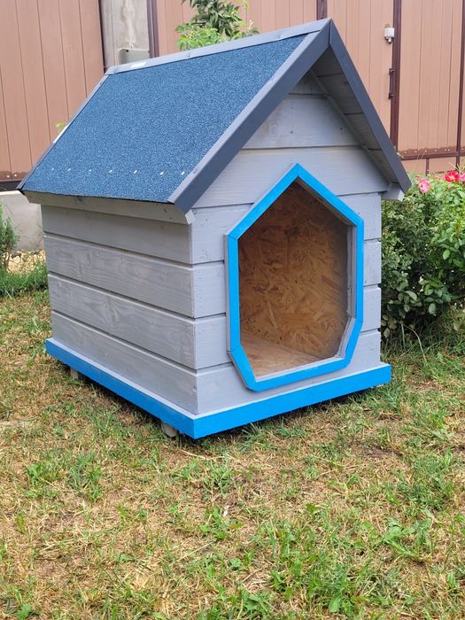 Casuta caine  talie medie sau mare