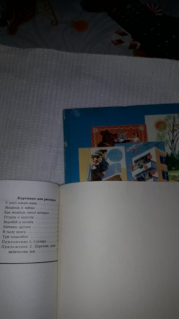 Книга Русский язык в картинках .
