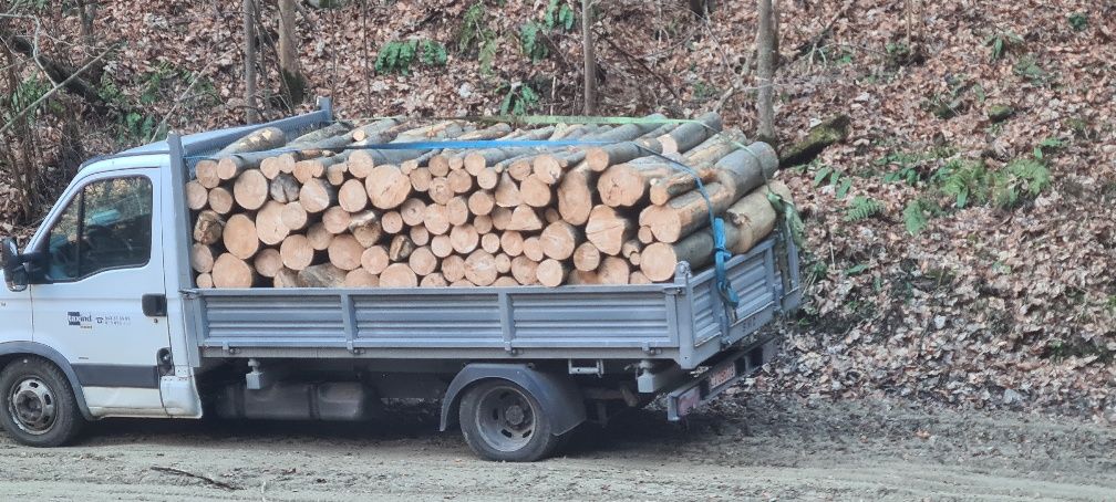 Vând lemne de foc esență tare 300 m ster