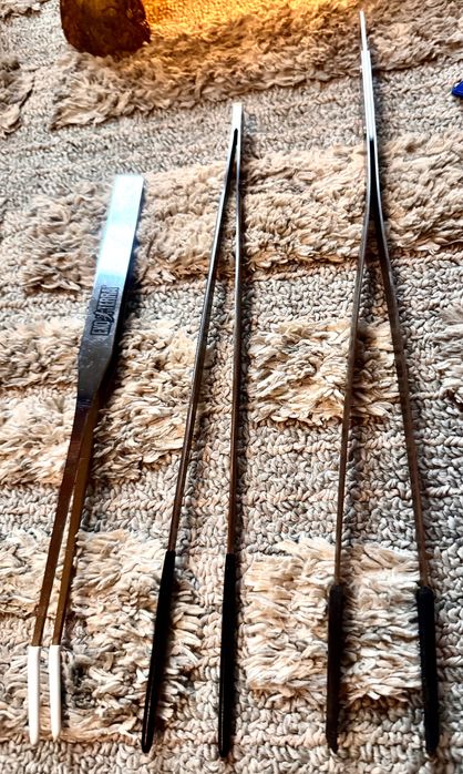 Snake Terrarium Starter Pack