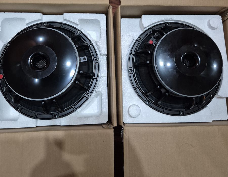 12 инчови говорители