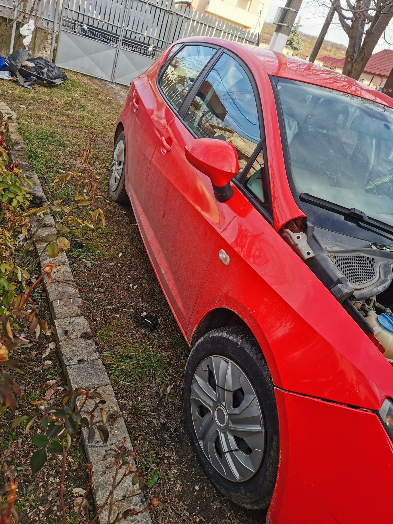 Seat ibiza  2011