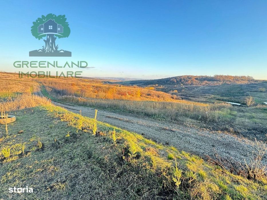 TEREN pt casa VALEA URSULUI-Miroslava, 1455mp, intravilan+extravilan