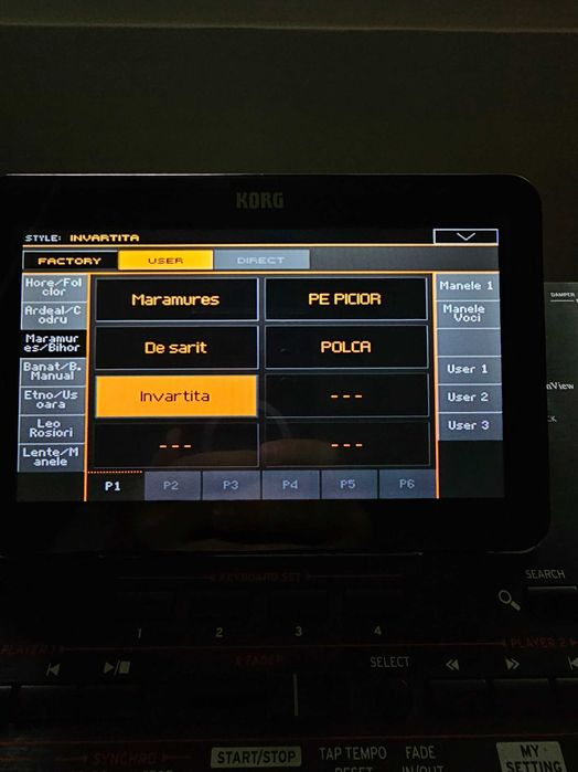 Set Korg PA4X Personal