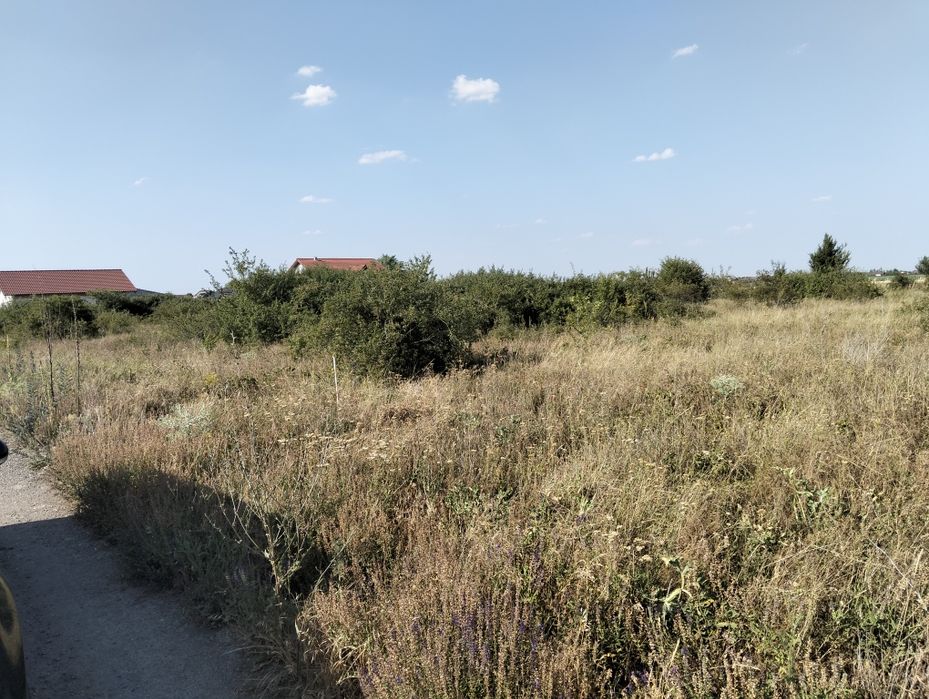 Vând teren intravilan Bodrogul Nou