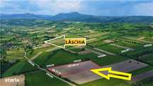 VIDEO | Teren - 14.755 mp in Maramures | Investitie - Recreere