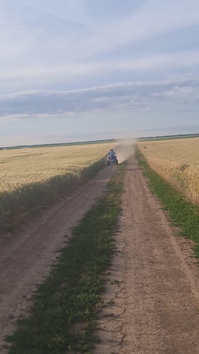 Vand atv bashan 250