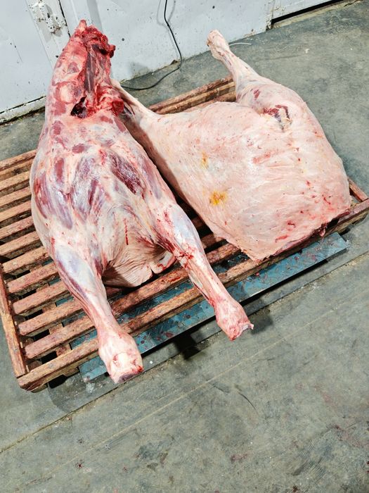 Мясо говядины говяжи