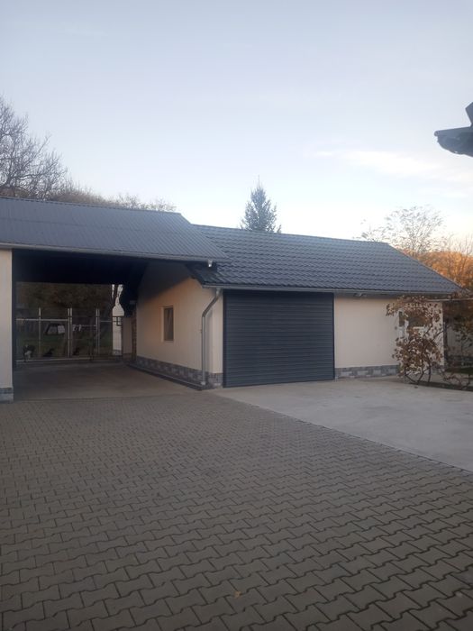 Vopsim orice tip de tabla/acoperiș/lambriu din lemn