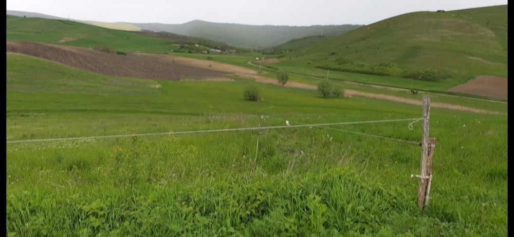 Teren agricol grindeni ,,Cordoș,,
