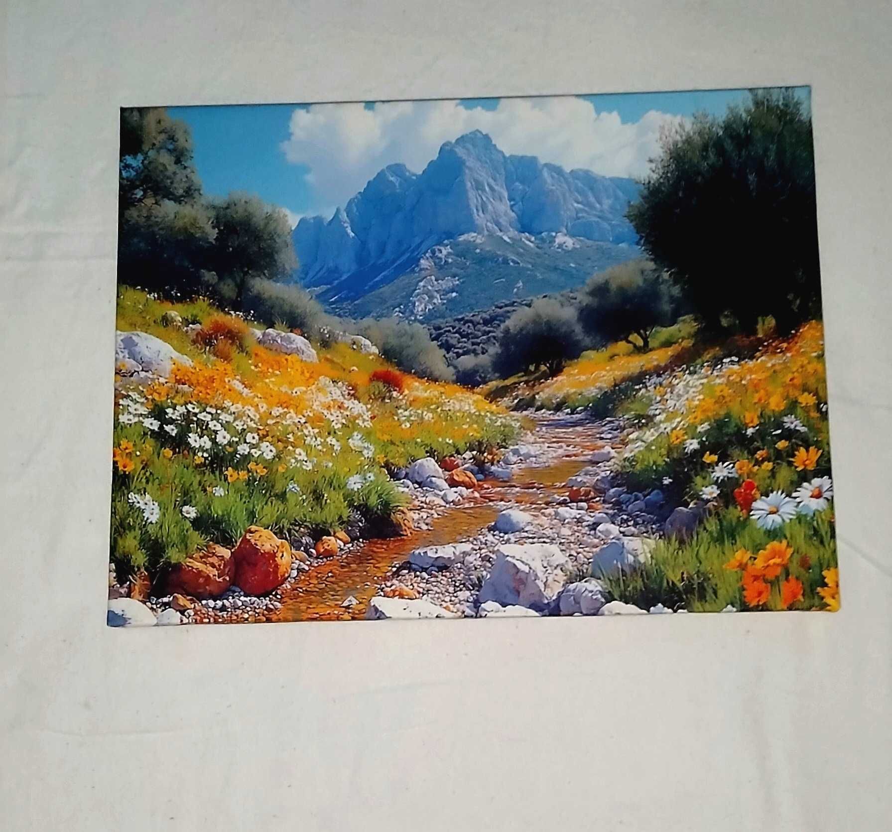 Tablou Canvas 40x30 cm NOI