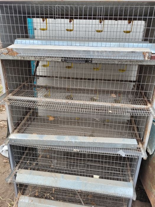 Клетка для перепелов