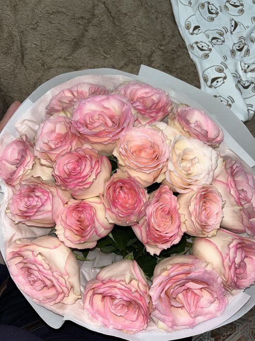 розаа цветыыыыыы