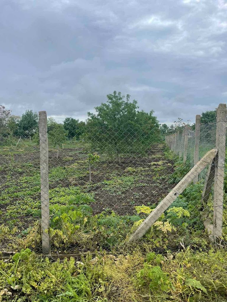 Продава се Парцел в Варна, Гранд Мол Варна - 1325 кв.м за 30 €/кв.м - Снимка #2