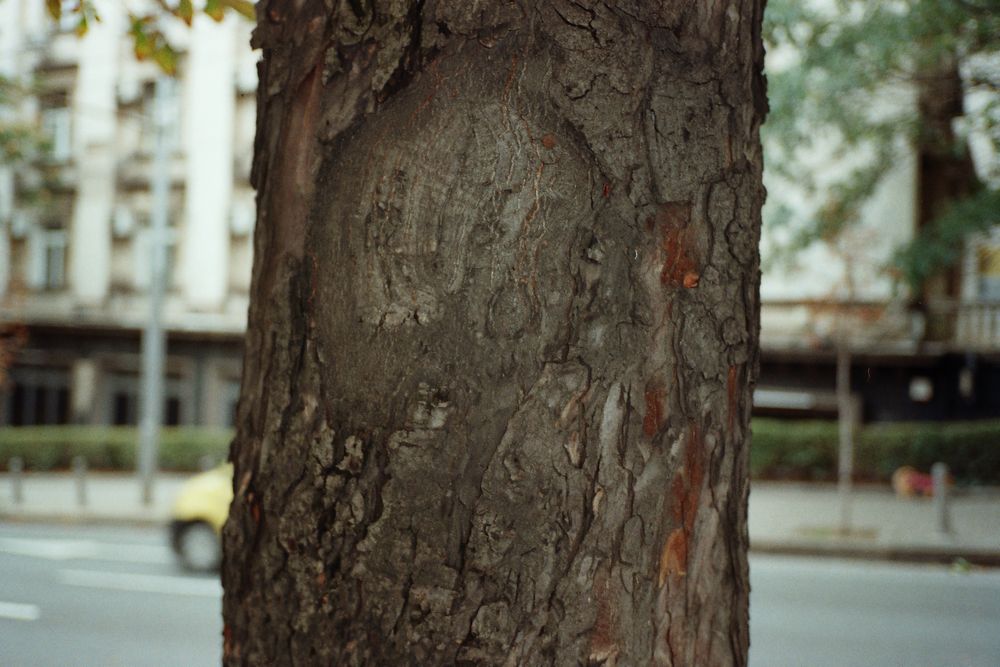 Olympus mju ii + подарък