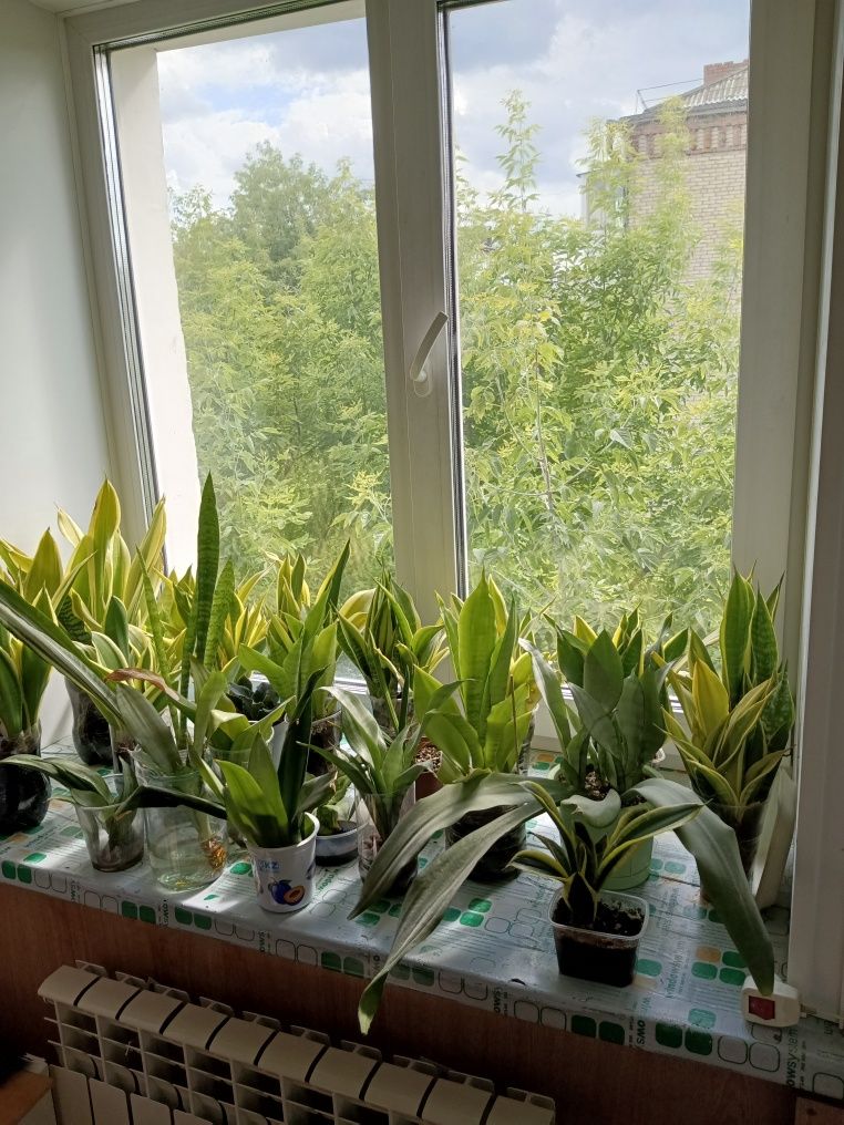 Продам 1комн. кв. ул. Конституции рядом, на 3 эт. в 4 эт. кирпичном