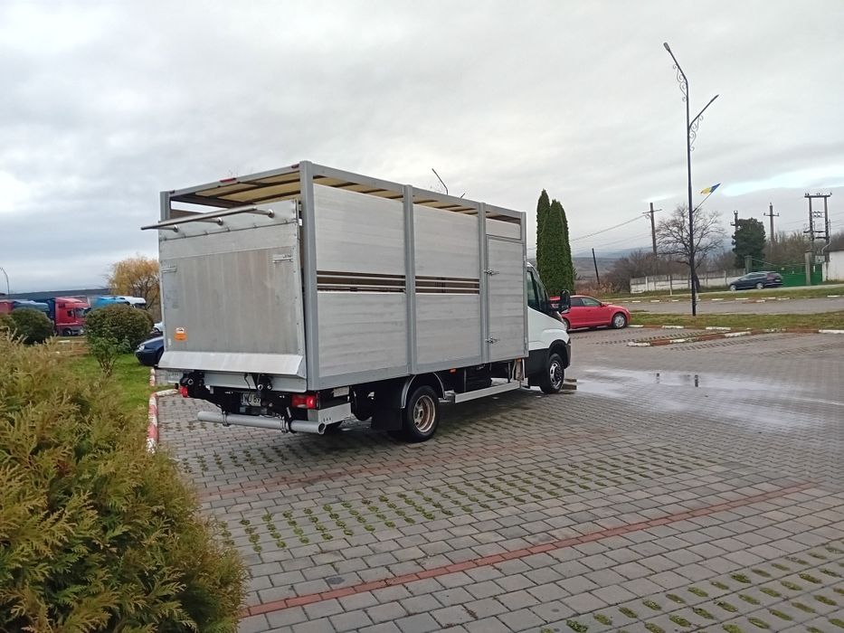 Iveco  daily 50c15 transport animale viu  RAR EFECTUAT