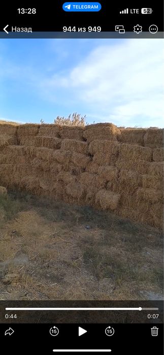 Беда сотилади 4000 кип.