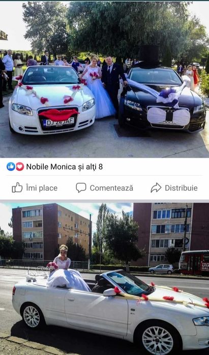 Decoratiuni ornamente joben coronițe papion buze