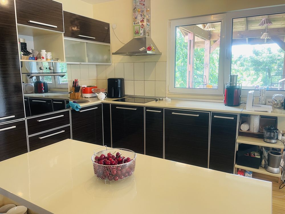 Vila cu 5 camere, terasa, garaj și grădină de închiriat