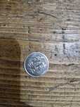 Moneda rara din anul 1365