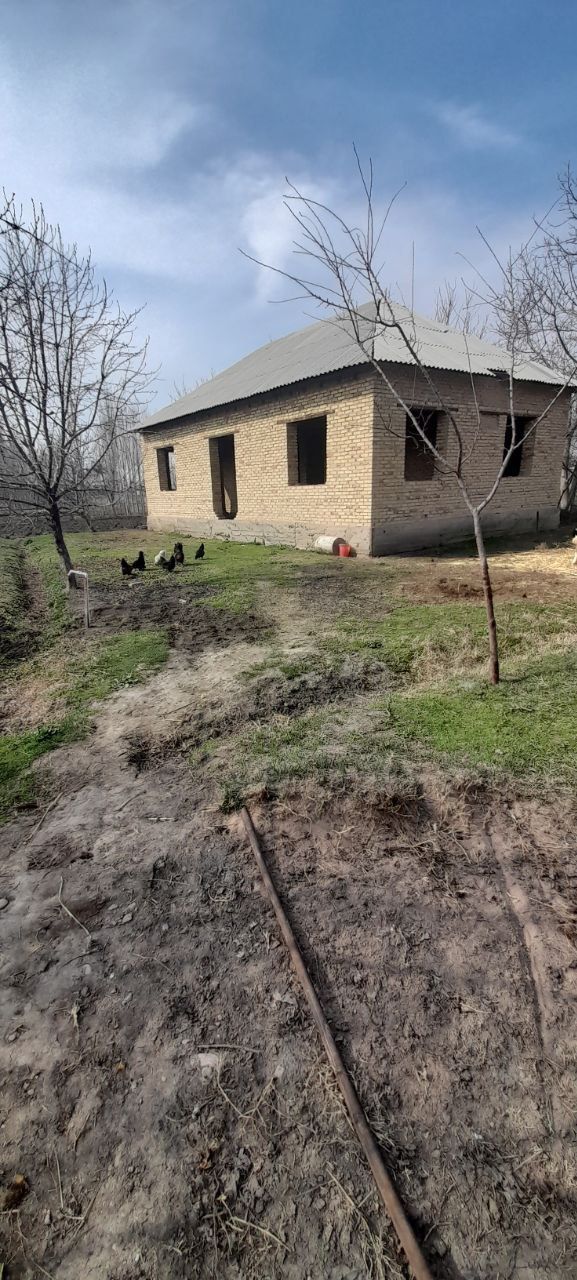 Срочно тошкент вилоятида ер участкалари сотилади.