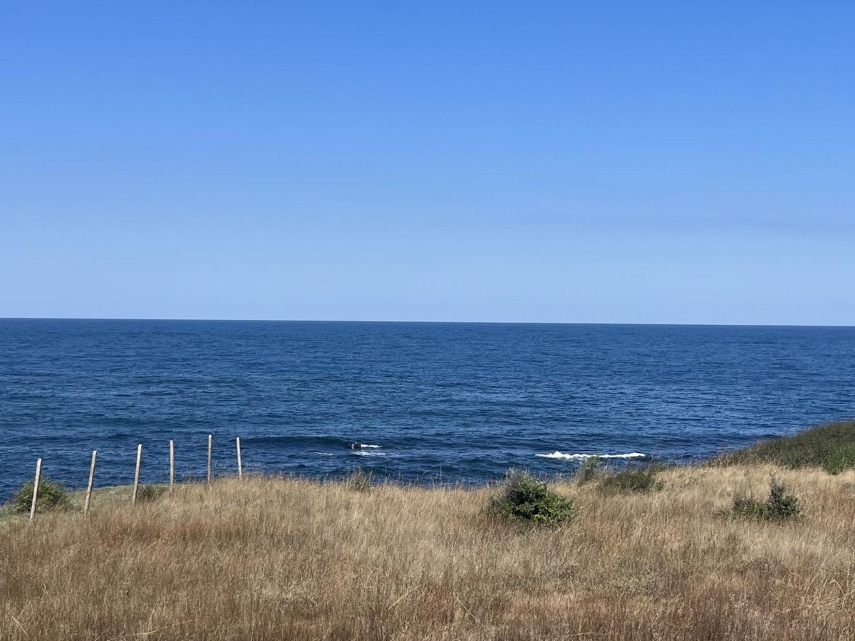 Първа линия  - земеделска земя в село Варвара, Царево.