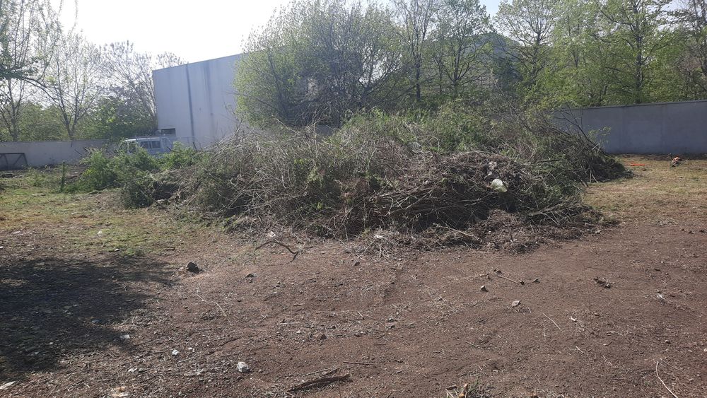 Curățare cosire defrisare terenuri iarba -arbusti-copaci-ambrozie