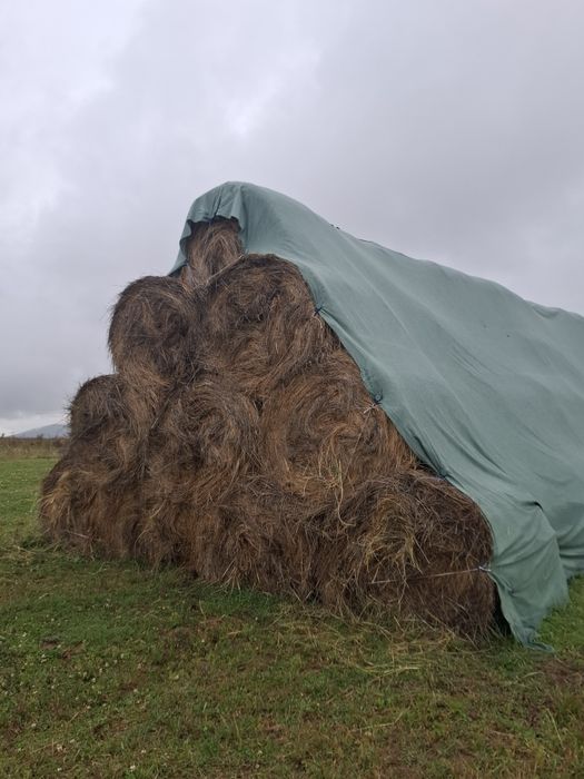 Vand schimb baloti rotunzi de fan