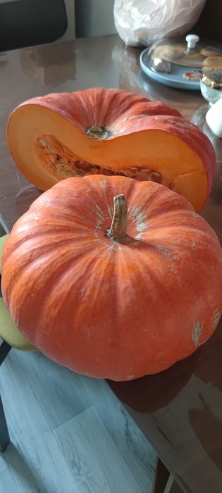 Продаю тыкву, Пришахтинск