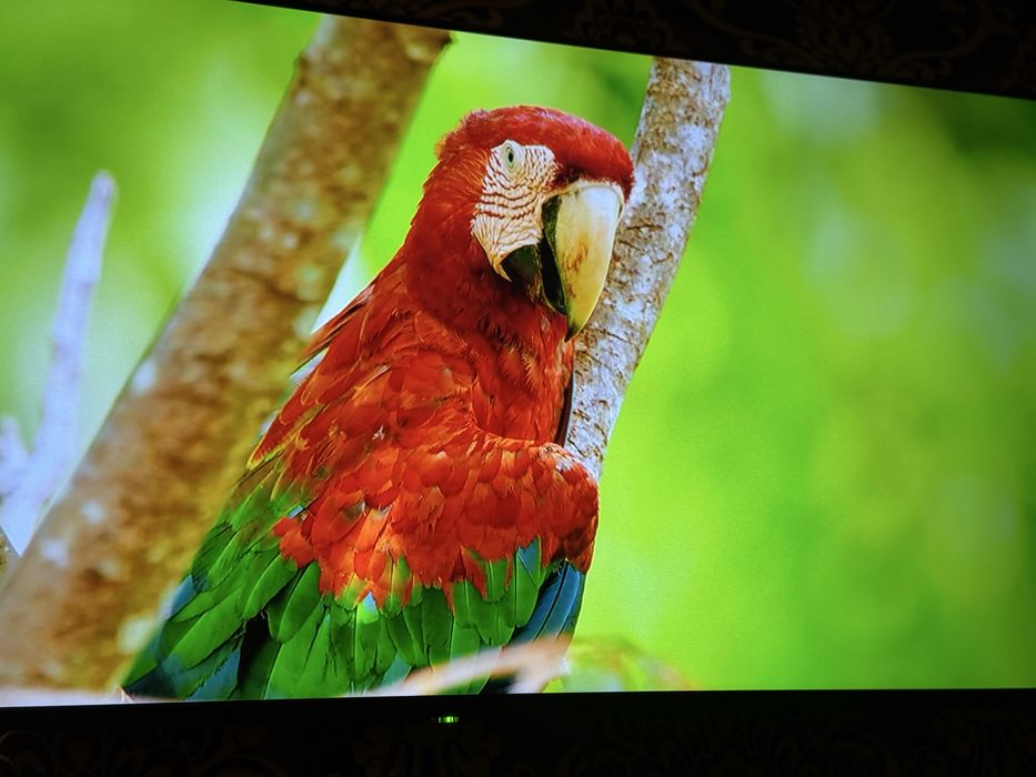 Smart Tv yangi holatda 2 ta pultli