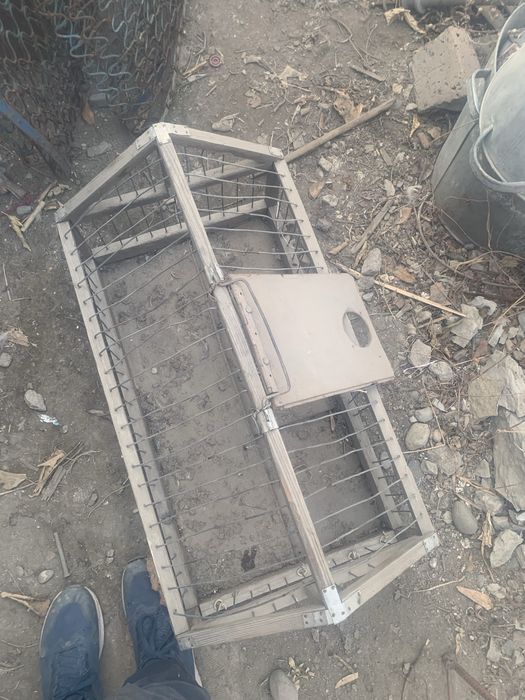 Клетка для голубей