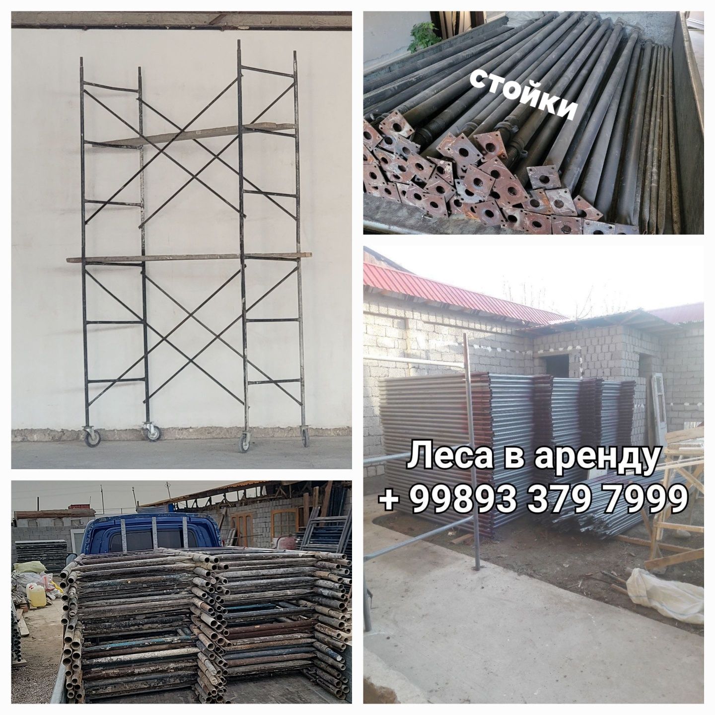 Lesa Stoyka arenda