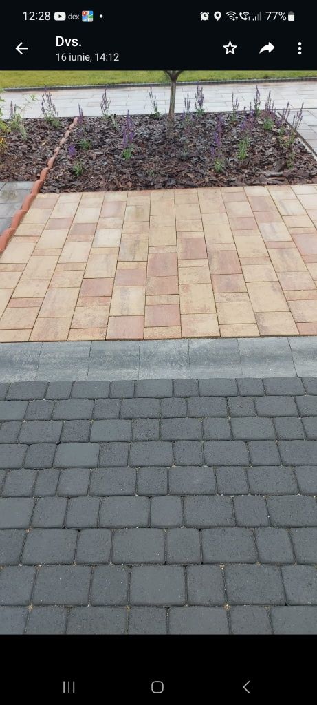 Montaj Pavele, Dale Si Borduri