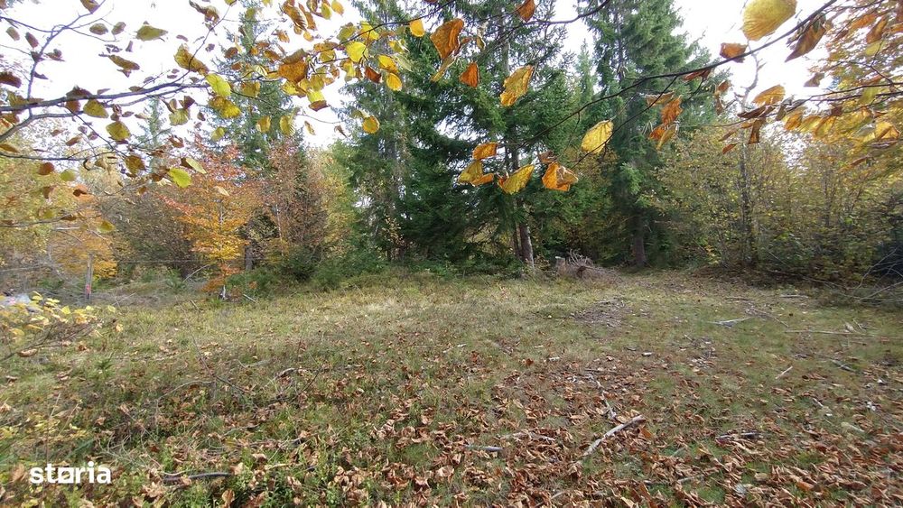 Vand urgent, la oferta, teren extravilan in Calatele Padure, 6950mp